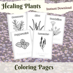 May include: Five black and white coloring pages showcasing illustrations of healing plants: rosemary, aloe, dandelion, peppermint, and lavender. The text "Healing Plants" and "Coloring Pages" are displayed, with "Instant Download" text.