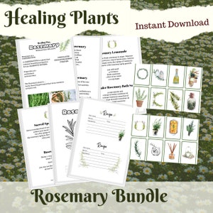 May include: A digital download bundle with the text "Healing Plants" and "Rosemary Bundle." It contains printable recipe cards, information sheets, and decorative images with rosemary illustrations. The background is a field of daisies.