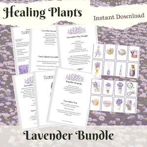 Lavendel Lernpaket für Homeschooling, Heilpflanzen Printable Serie