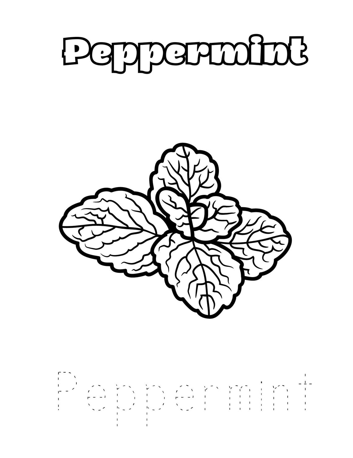 Medicinal Plants Coloring Pages Preschool Curriculum Waldorf Etsy