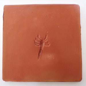 Saltillo Tile with (Faux) Scorpion Imprint, Mexican Clay Floor Tile, 11.5&quot;x11.5&quot;, Super Saltillo, Sealed (Please Read Description)