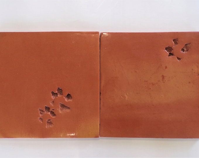 7saltillo Tiles With Animal Paw Prints natural, Mexican Clay