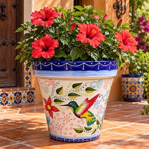 May include: A large, tapered ceramic planter featuring a hand-painted design of a colorful hummingbird and floral motifs on a cream background. The rim is deep blue with white decorative swags. It contains a vibrant red hibiscus plant.