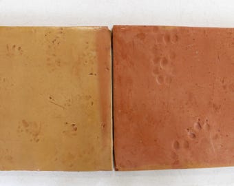 7-Saltillo Tiles with Animal Paw Prints (Natural), Mexican Clay Terracotta Floor Tile, 11.5"x11.5" (Shipping Included) (Read Description!!)