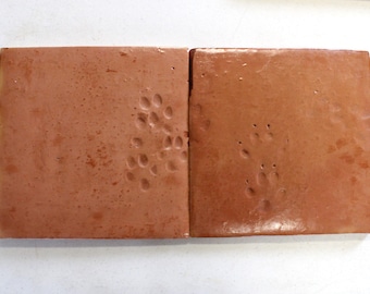 7-Saltillo Tile with Natural Animal Paw Prints, Authentic Mexican Clay Floor Tile, 3 Coat Semi-Gloss Sealed, Rustic Terracotta Tile, 12x12