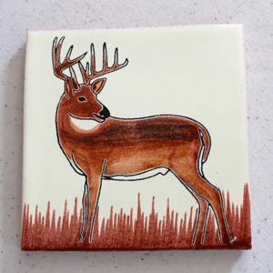 L2-Brush Buck 4x4 Hand Made & Hand Painted Mexican Clay Talavera Tile in a Southwestern Theme (Please Read Description)