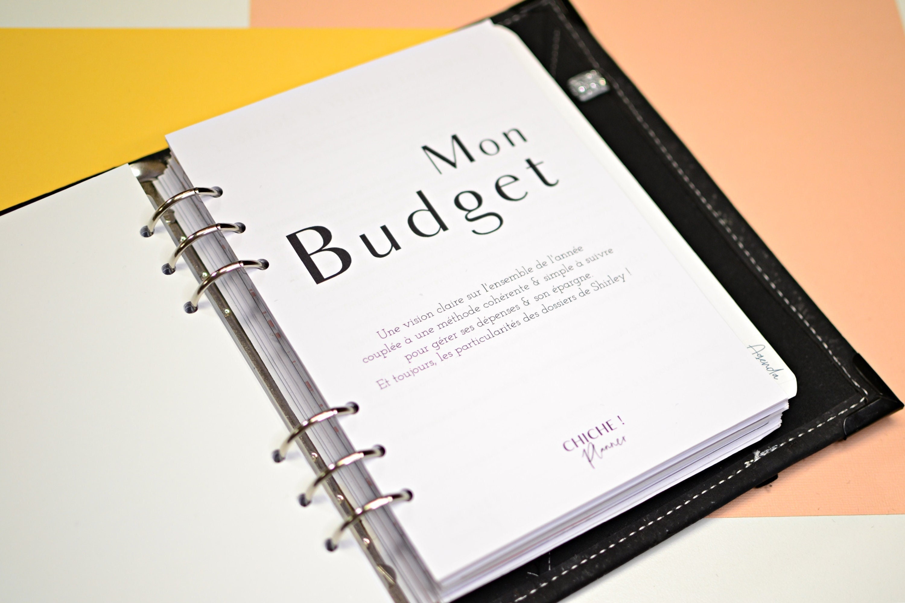 Classeur de budget coloré défi de 100 jours, format A5, planificateur de  budget, organisateur d'argent, couple – les meilleurs produits dans la  boutique en ligne Joom Geek