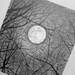 Full Moon ORIGINAL Graphite Pencil Drawing | Kuryakova Art | Miniature ...