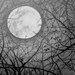 Full Moon ORIGINAL Graphite Pencil Drawing | Kuryakova Art | Miniature ...