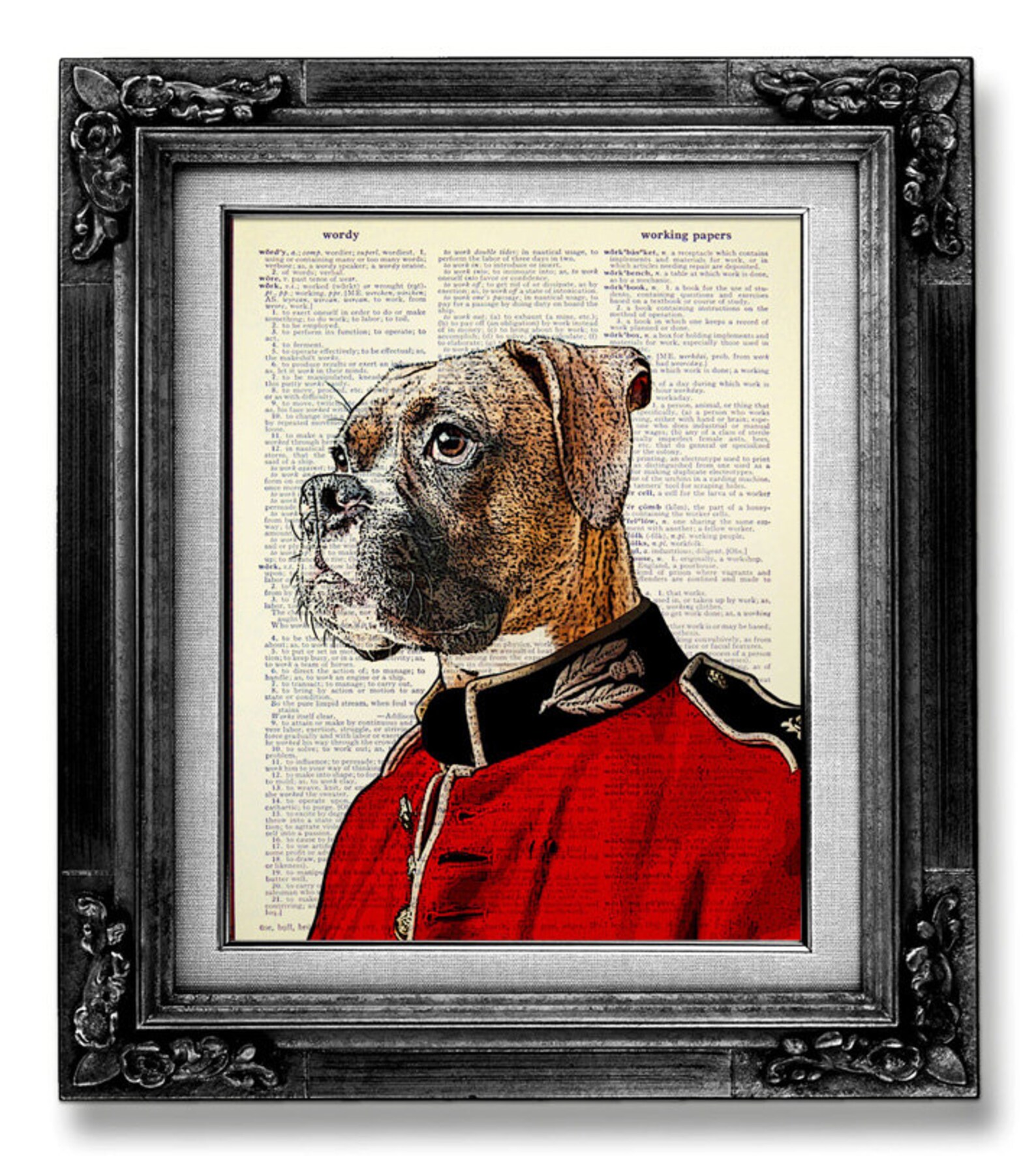 Boxer dog price in india picture