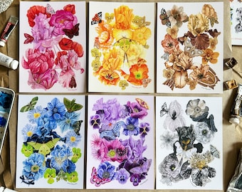 5x7 - 6 Pack of Postcards - Floral & Moth - Original Art