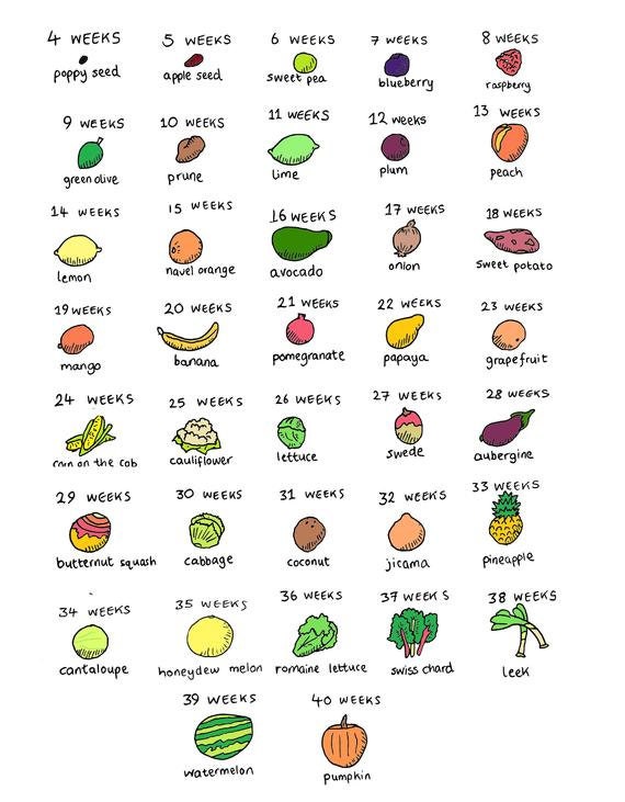 Baby Chart Fruit