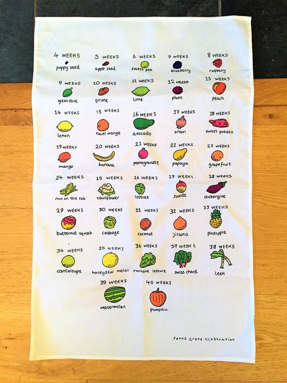 Pregnancy Baby Size Chart Week By Week