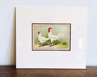 Original Antique Chromolithograph Chicken Print - Matted