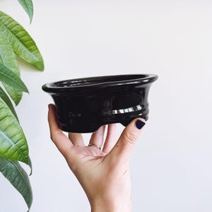 May include: A glossy black ceramic bonsai pot. The oval-shaped container has a wide rim and a slightly textured body. The pot is held in a hand against a white background, with green leaves in the upper left corner.