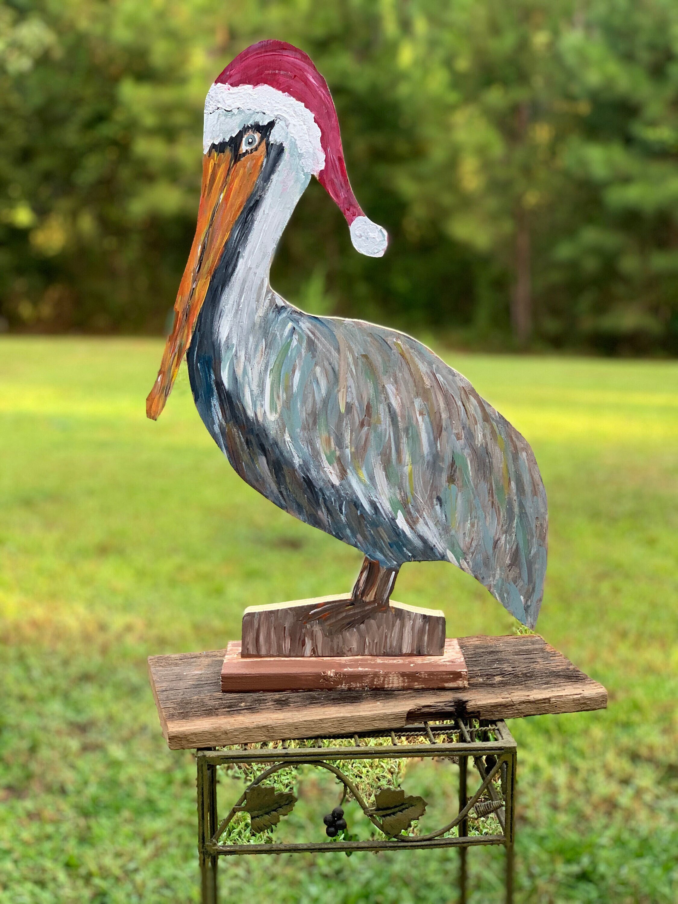 pelicans winter hat