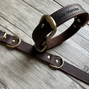 May include: A brown leather dog collar with brass hardware and the text "My cute Monika" engraved on the collar.