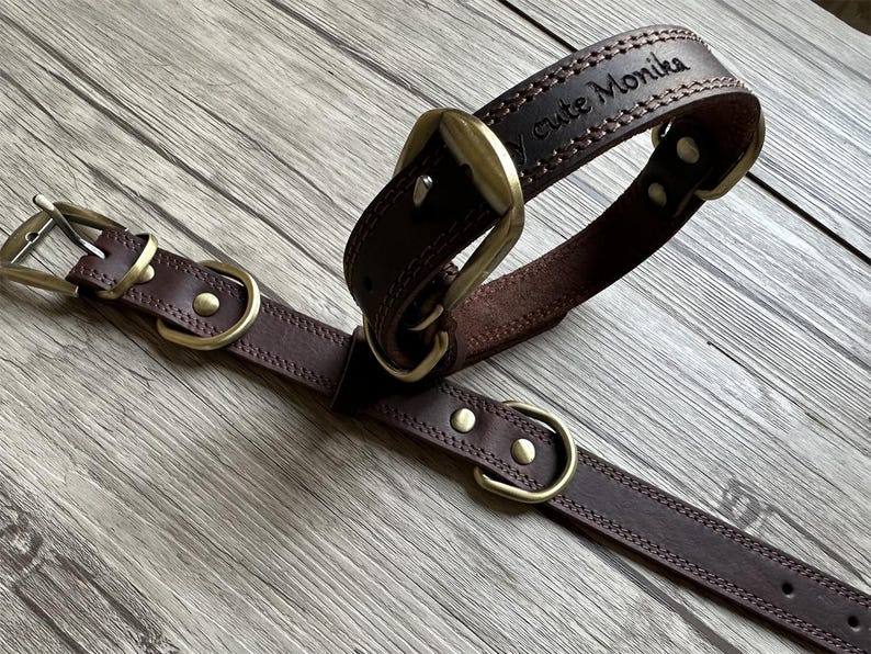 May include: A brown leather dog collar with brass hardware and the text "My cute Monika" engraved on the collar.
