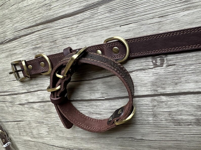 May include: A brown leather dog collar with brass hardware. The collar has a stitched edge and a buckle closure.