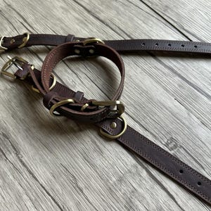 May include: Two brown leather dog collars with brass hardware. The collars are on a wooden surface.