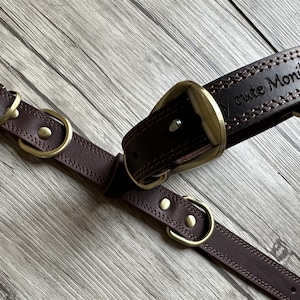 Personalized Leather Dog Collar: Engraved Solid Brown Collar