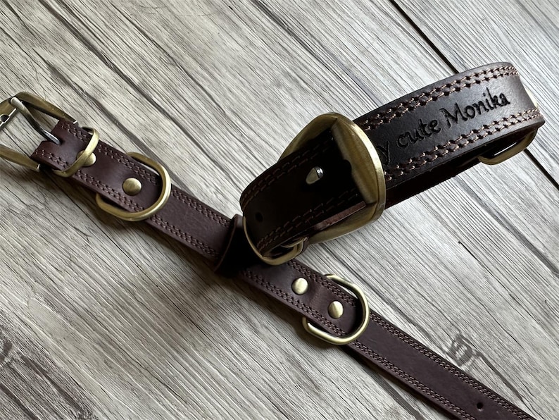 May include: A brown leather dog collar with a brass buckle and a stitched design. The collar is personalized with the text "cute Monika".