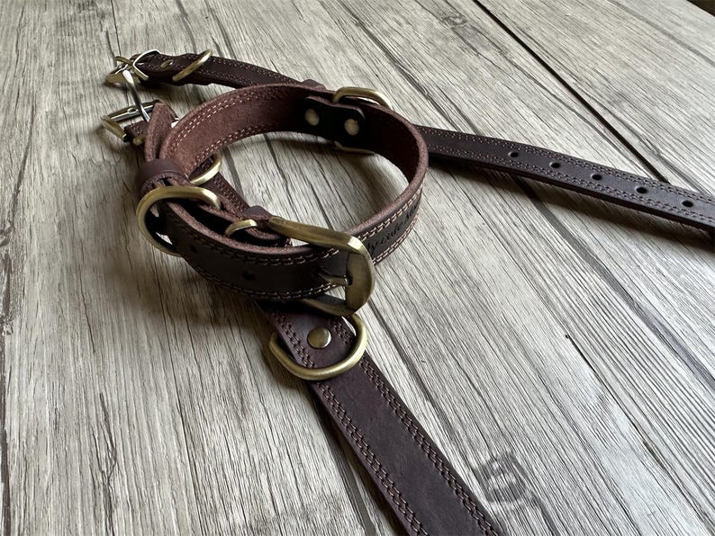 May include: A brown leather dog collar with brass hardware. The collar is stitched with white thread and has a buckle closure.