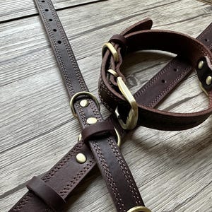 May include: Two brown leather dog collars with brass hardware. The collars are stitched with a decorative pattern and have a D-ring for attaching a leash.