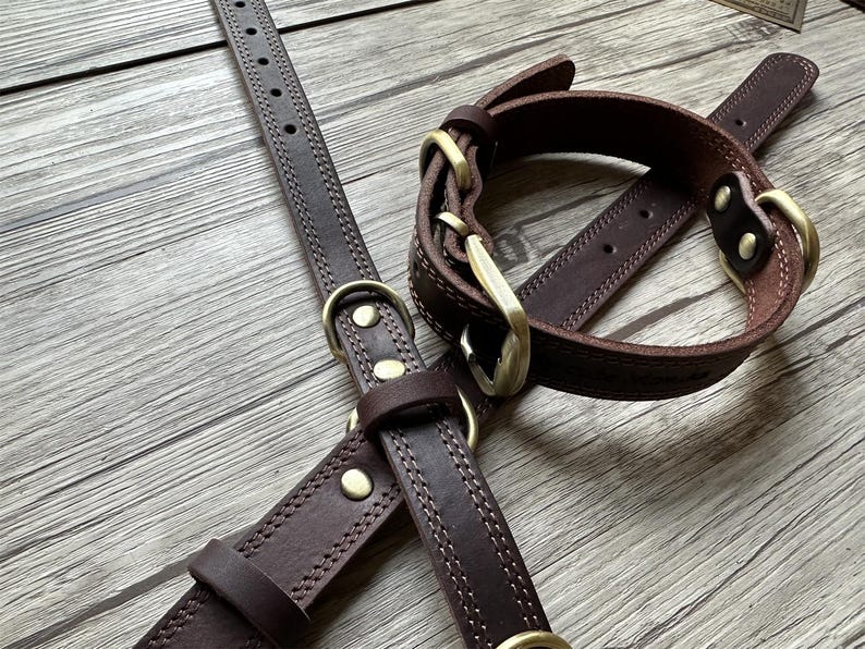 May include: Two brown leather dog collars with brass hardware. The collars are stitched with a decorative pattern and have a D-ring for attaching a leash.