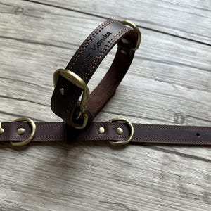 May include: Two brown leather dog collars with brass hardware. The larger collar has the name "Bruce Monika" engraved on it.