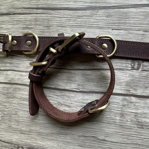 May include: A brown leather dog collar with brass hardware. The collar is shown with a matching leash.