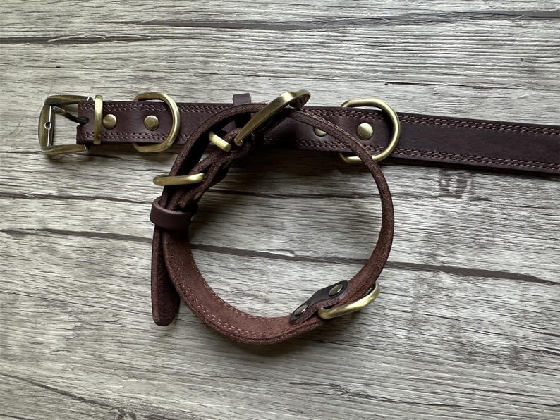 May include: A brown leather dog collar with brass hardware. The collar is shown with a matching leash.