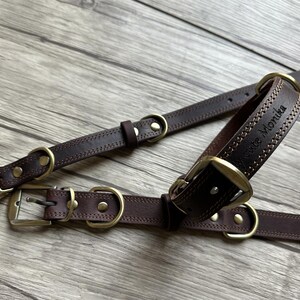 May include: Two brown leather dog collars with brass hardware. The larger collar has the name "Grace Monika" engraved on it.