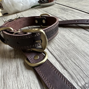 May include: A brown leather dog collar with brass hardware and the text "Made in America" embossed on the collar.