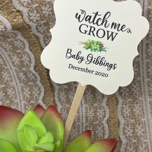 May include: White card with the text "Watch me grow" and "Baby Gibbing December 2020". The card is attached to a wooden stick and is placed in a green succulent plant.