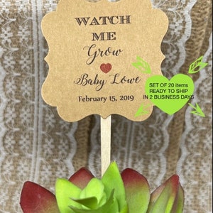 May include: A decorative plant stake with a brown, ornate-edged tag. The tag reads "WATCH ME Grow Baby Lowe February 15, 2019" in elegant script. A green heart and a green leaf design are also present. The stake is placed in a succulent plant.