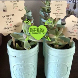 May include: Succulent plants in light blue mason jars, each with a small tag that reads "Watch Me Grow" and "Harper Marie October 2017". The image shows several plants, ideal for party favors or gifts.