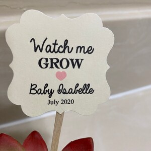 May include: A white card with a scalloped edge reads "Watch me GROW" with a pink heart and "Baby Isabelle July 2020". The card is attached to a wooden stick and stuck into a small green succulent plant.