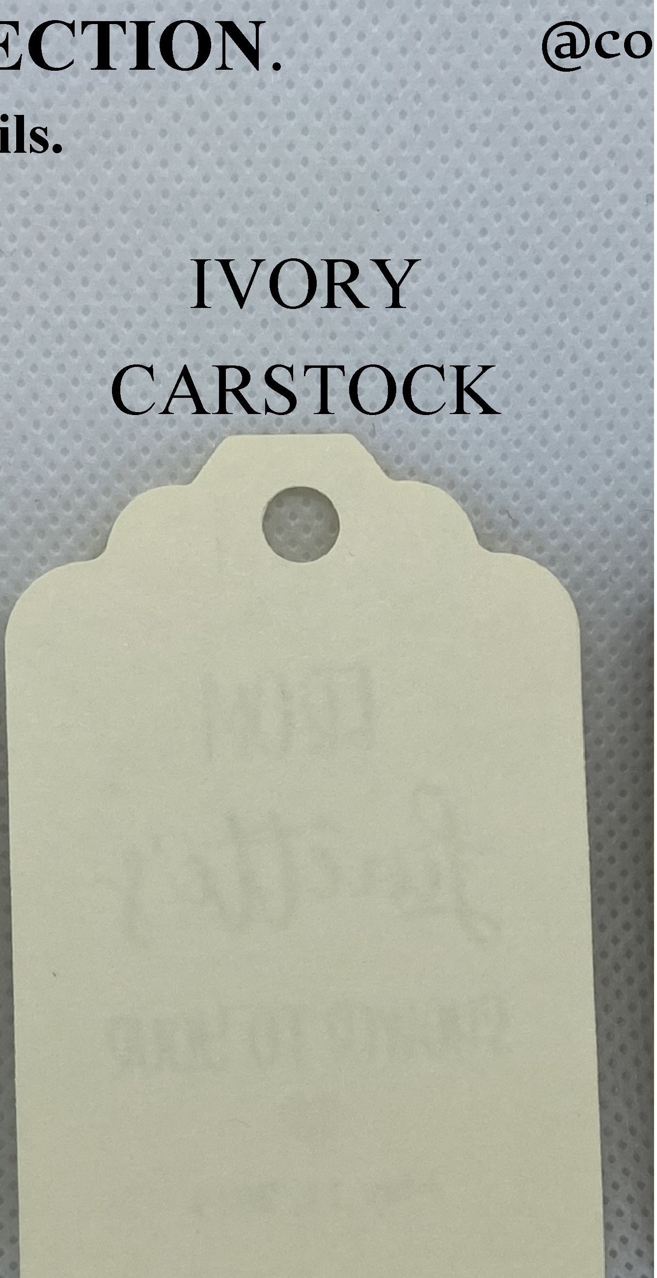 Fish Extender Tags, Disney Cruise, FE Tag, Fish Exchange Gift Tag ...