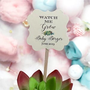 May include: A small succulent plant in a pot with a decorative sign that says "Watch Me Grow Baby Borger June 2019".