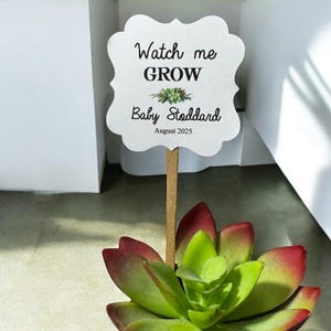 May include: A decorative succulent plant with green and red leaves. A white sign on a wooden stick reads "Watch me GROW" with the name "Baby Stoddard" and the date "August 2025".