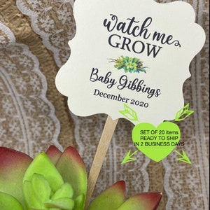May include: A decorative sign with the text "Watch me GROW" and "Baby Gibbings December 2020". The sign is on a wooden stick and is placed in front of a green and red succulent plant. The sign is shaped like a decorative cloud.