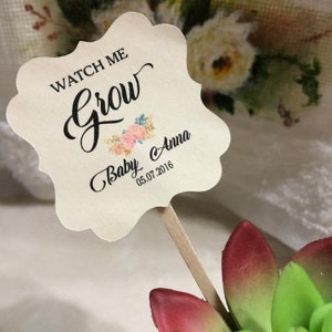 May include: A cream-colored, scalloped-edge sign on a wooden stick. The sign reads "WATCH ME Grow" above a floral design and "Baby Anna 05.07.2016". The sign is placed in front of a succulent plant.