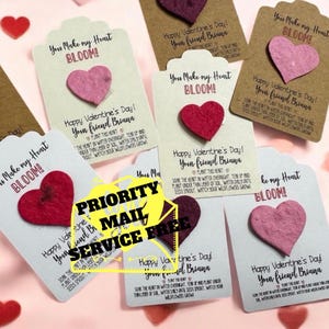 Plantable Heart  Valentine's Day Cards for Kids favour Seed paper Heart gift labels class exchange Valentine favors Valentine kids gifts