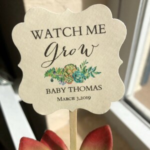 May include: A small succulent plant in a pot with a beige card attached to it with a wooden stick. The card has the text "Watch Me Grow" in cursive writing with a floral design. Below the text is "Baby Thomas" and "March 3, 2019".