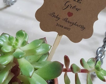 watch me Grow Succulent Favor Tags, Wedding Favor tags with stick 2x2", hank You tags, Favor tags, let love grow, watch me grow, (one side)