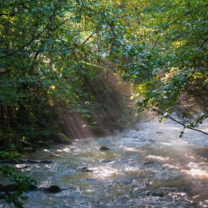 Cataloochee Cove, Cataloochee NC Fine Art Photography image 2