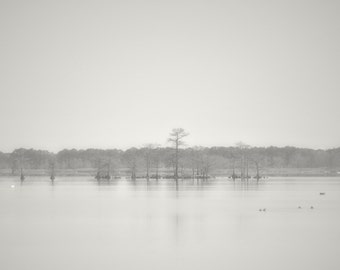 December Morning in Black & White - Lake Mattamuskeet NC - Fine Art Photography