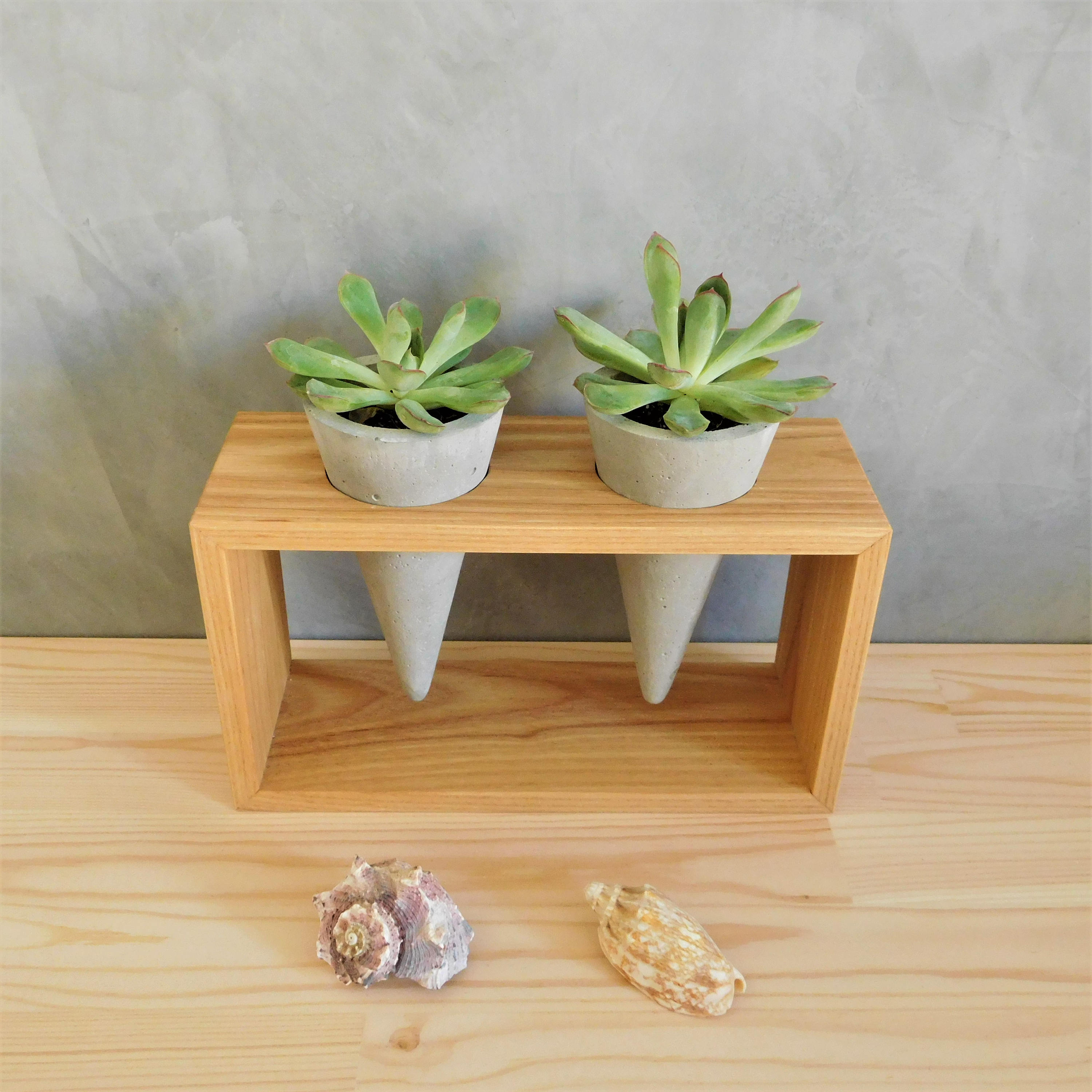 Concrete Cone Planter Stand Wooden Indoor Small Plant Stand Etsy UK