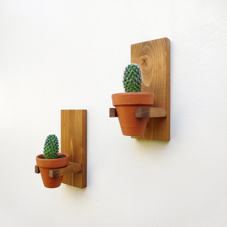 Wood Mounted Plant Hanger With Succulent Pot Wall